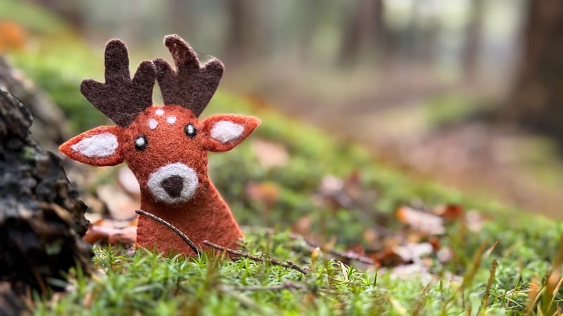 Enchanted Animals