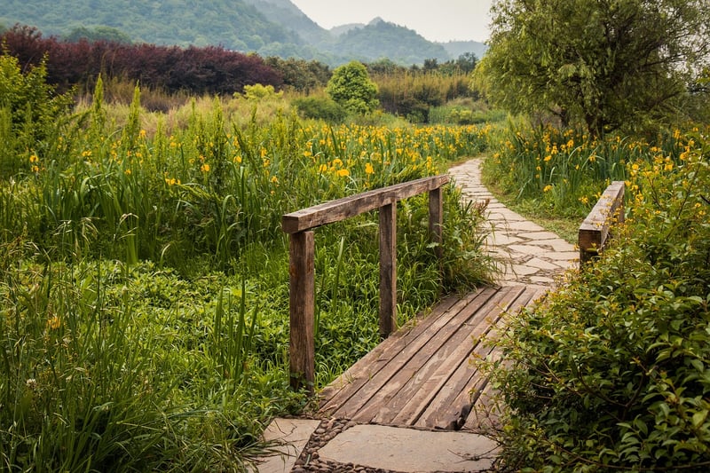 Mystical Stepping Stones